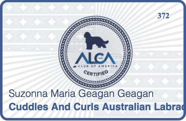 Certification banner